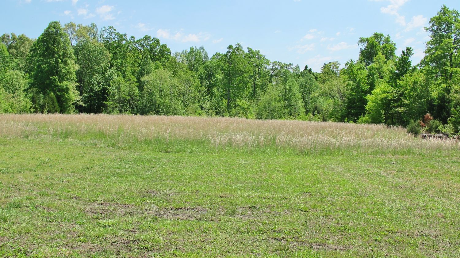 538 Dawson Rd, Princeton, KY 42445